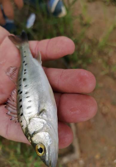 微信图片_20190319145404