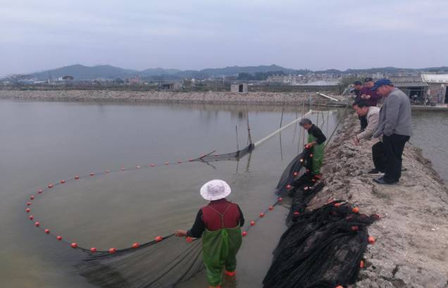 微信图片_20190319145447